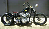 Evo-based Bobber 